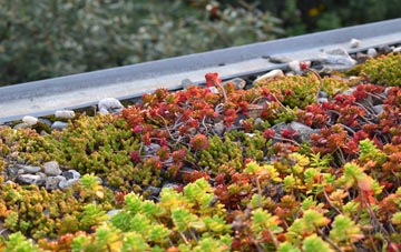 the cost of Spearywell green roof installation