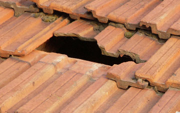 roof repair Spearywell, Hampshire