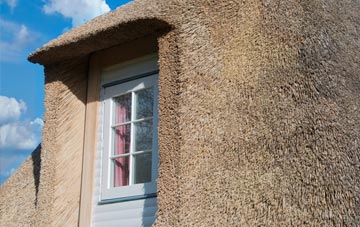 Spearywell thatch roof disadvantages