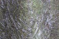 Spearywell fibreglass roof work